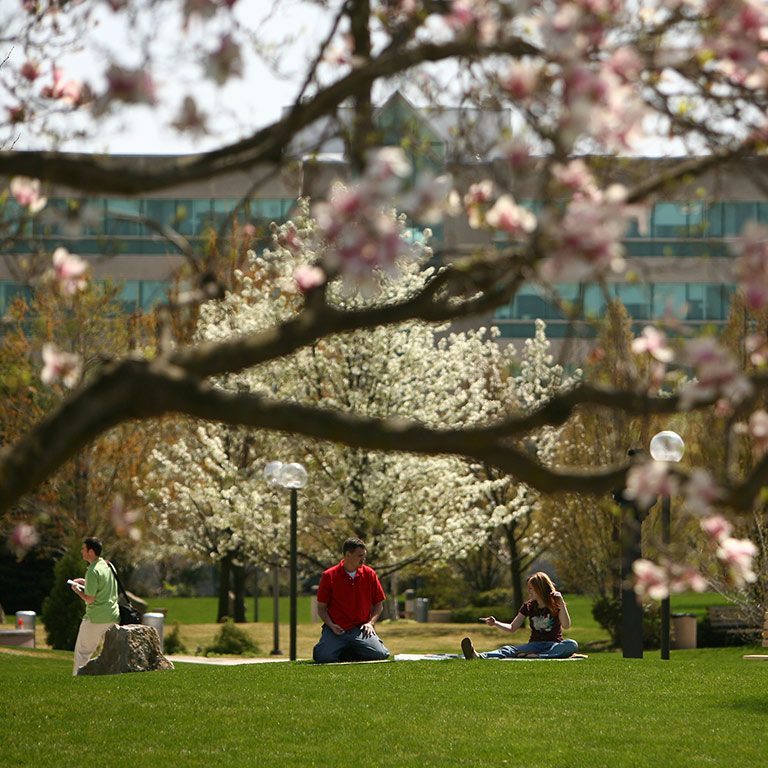 Indiana University South Bend